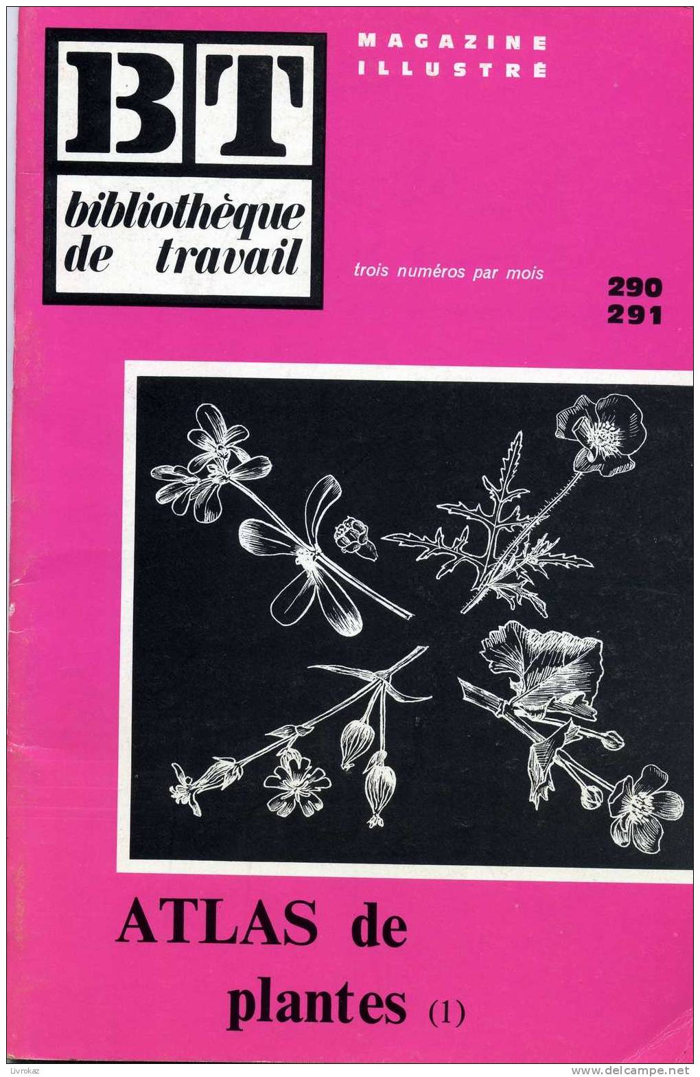 BT N°290/291 (non Daté) : Atlas Des Plantes (tome 1). Bibliothèque De Travail. Freinet. Livret à Sujet Unique - Science