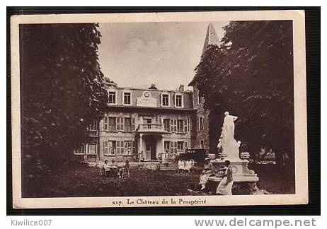 CPA 2 Cpa  Le Chateau De La Prospérité   De Cartigny Près De Genève - Cartigny