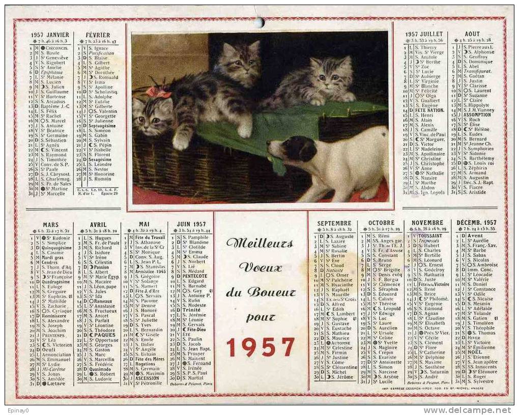 CALENDRIER - ALMANACH 1957 - CHAT - CHIEN - Grand Format : 1941-60