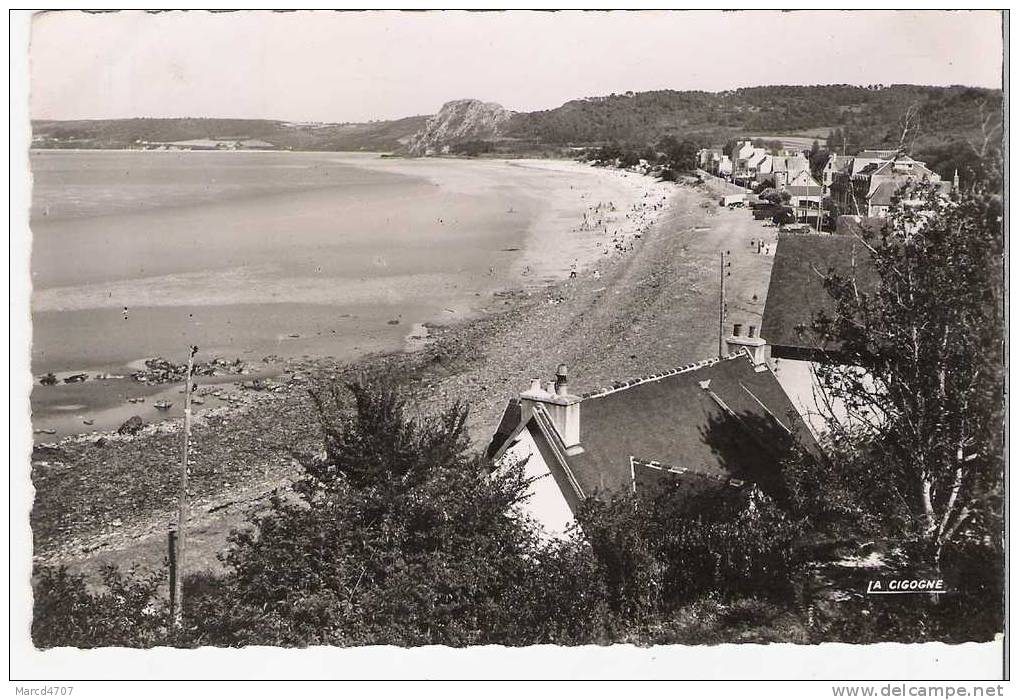 PLESTIN Les GREVES 22 La Plage De St Efflam  Edition La Cigogne Carte Dentelée Véritable Photo - Plestin-les-Greves