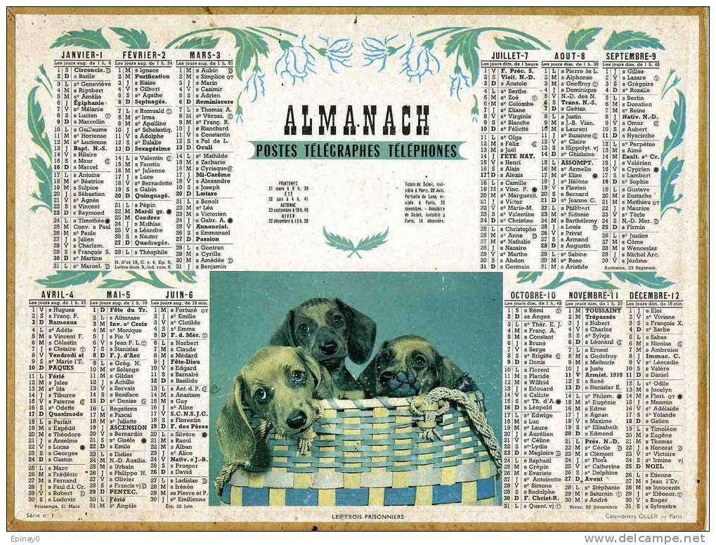 CALENDRIER - ALMANACH DES POSTES ET DES TELEGRAPHES 1955 - CHIEN - Carte Du 72 SARTHE - Grand Format : 1941-60