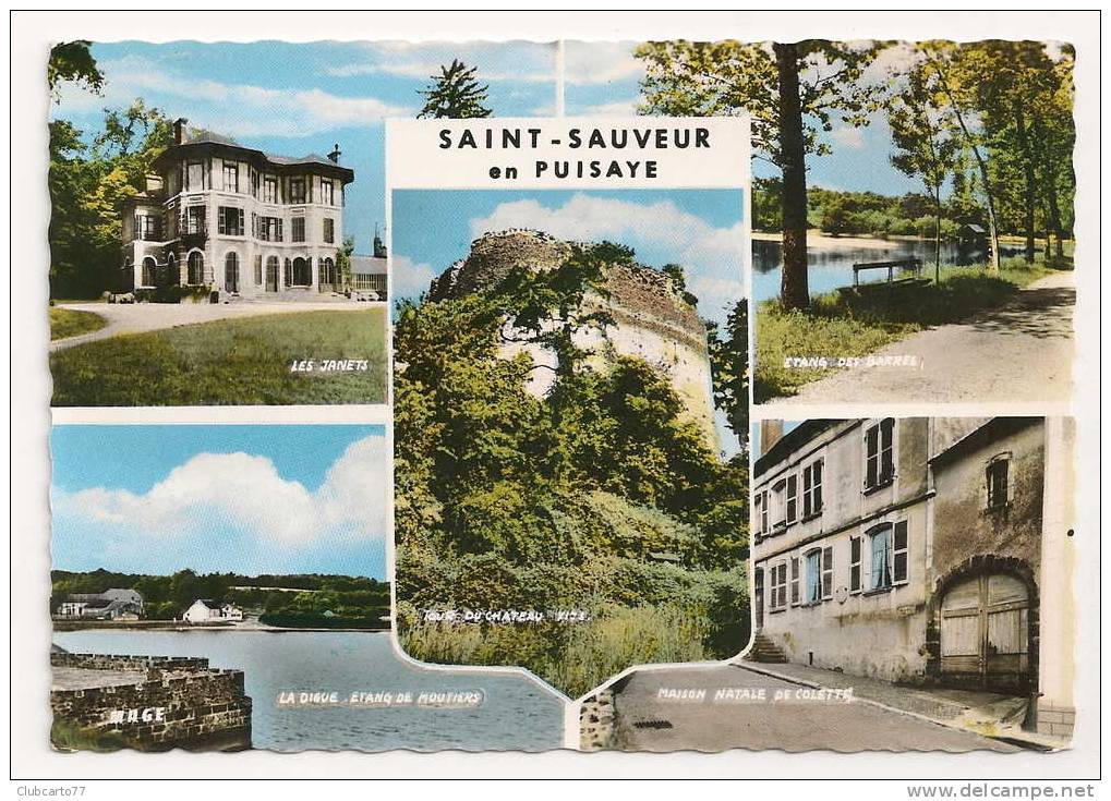 Saint-sauveur-en-Puisaye (89) : 5 Vues Dont Villa "Les Janets" En 1966 (animée). - Saint Sauveur En Puisaye