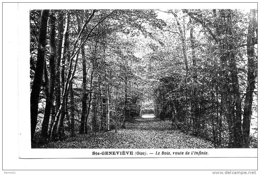 Le Bois, Route De L'Infinie - Sainte-Geneviève