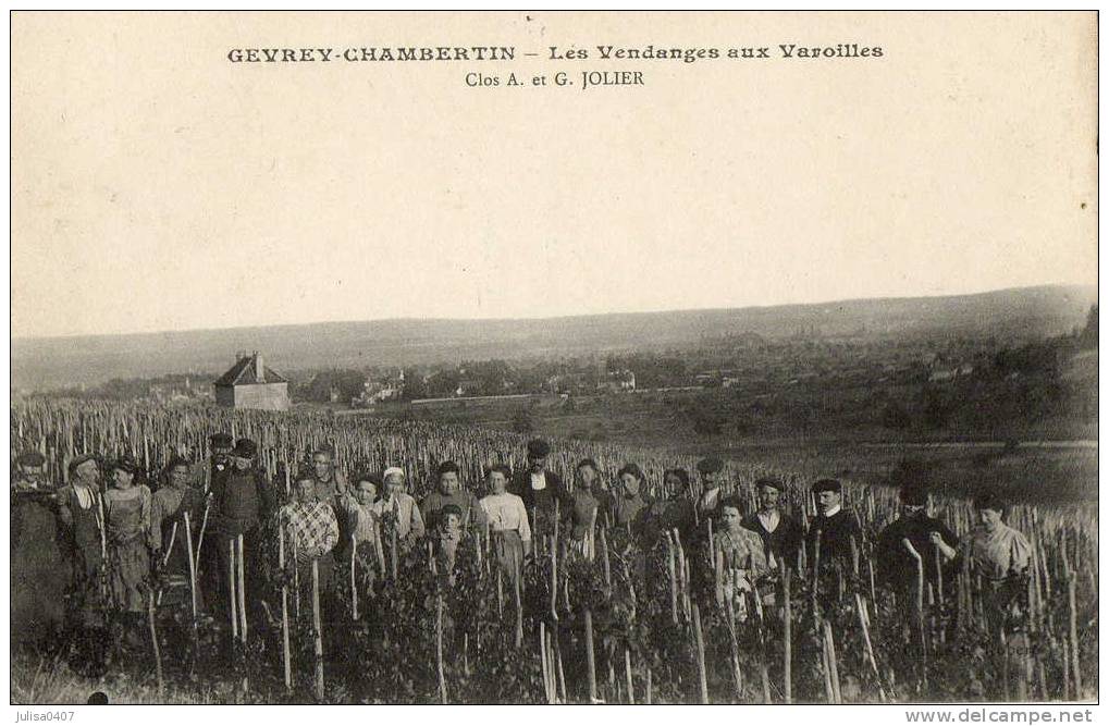 GEVREY CHAMBERTIN (21) Vendanges Aux Varoilles Clos Jolier - Gevrey Chambertin