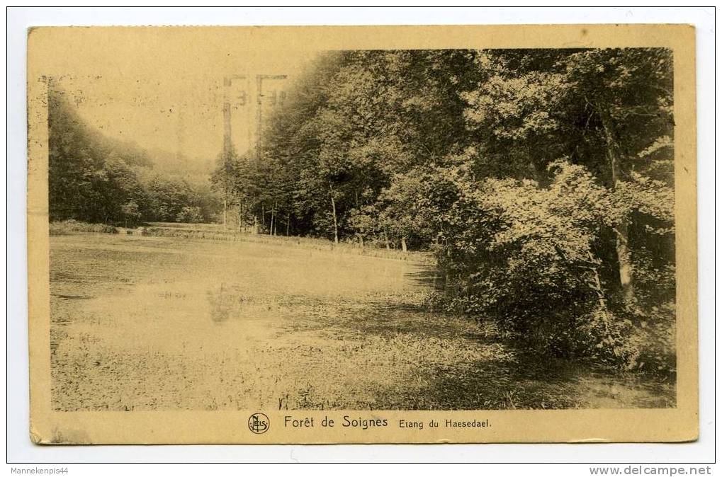 Forêt De Soignes - Etang Du Haesendael - Edition Du Foyer Des Orphelins - Parks, Gärten