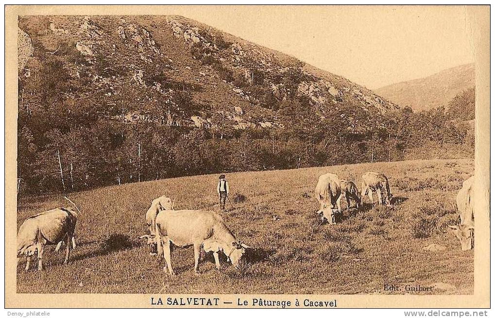 34/ LA SALVETAT / LE PATURAGE A CACAVEL - La Salvetat