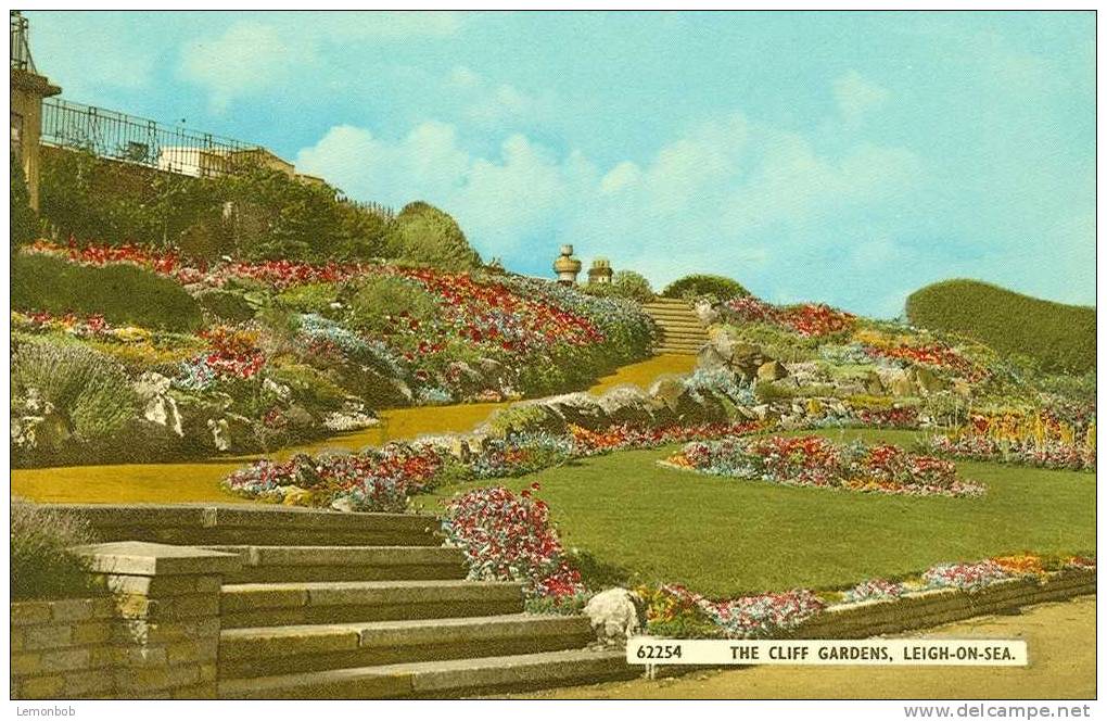 Britain United Kingdom - The Cliff Gardens, Leigh-on-Sea 1960s Postcard [P706] - Southend, Westcliff & Leigh