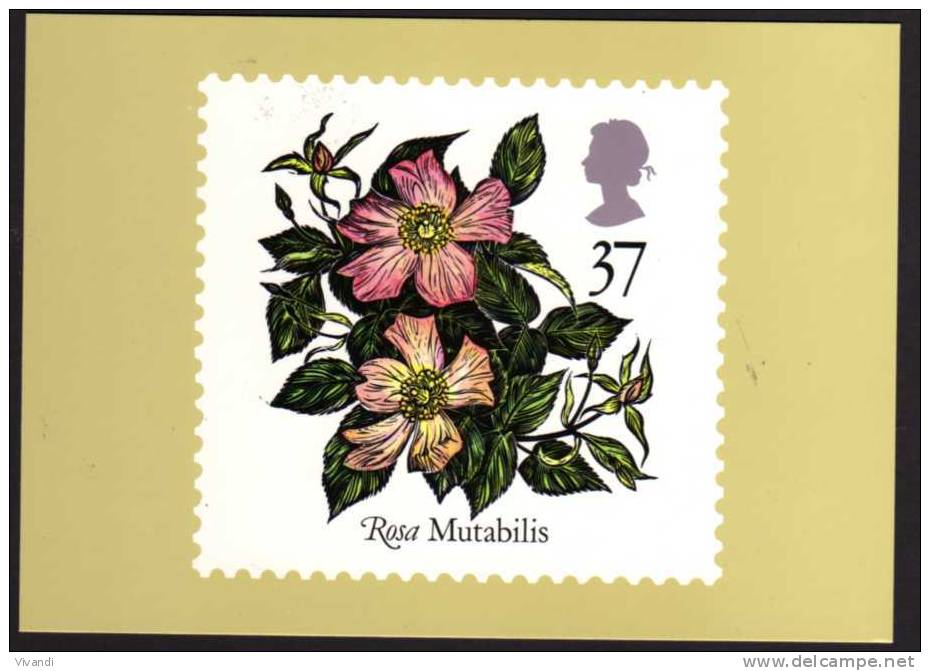 Great Britain - 1991 - PHQ Cards - 9th World Congress Of Roses - Mint - Cartes PHQ