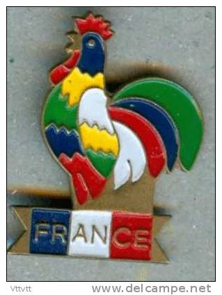 PIN'S "COQ FRANCE MULTICOLORE" France, Bleu-Blanc, Rouge... - Animals