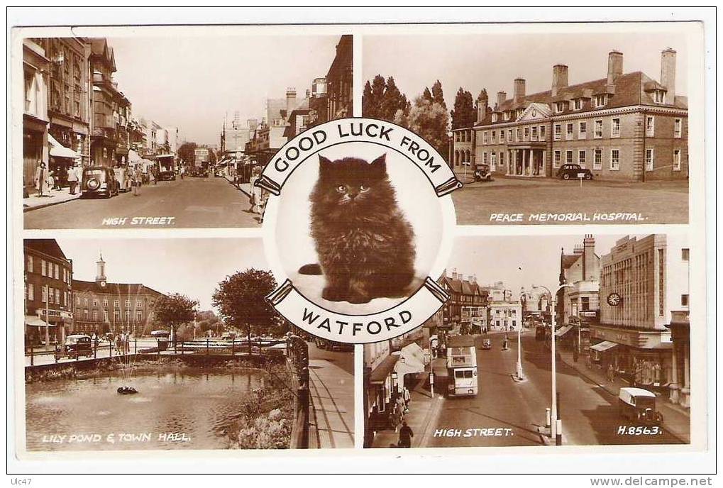 - WATFORD. - GOOD LUCK FROM WATFORD - Post Card - Très Bon état - Scan - - Hertfordshire