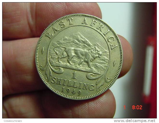 2258 EAST AFRICA AFRICA DEL  ESTE  1 SHILLING  LYON LEON ANIMAL  YEAR  1949   OTHERS IN MY STORE - Otros – Africa