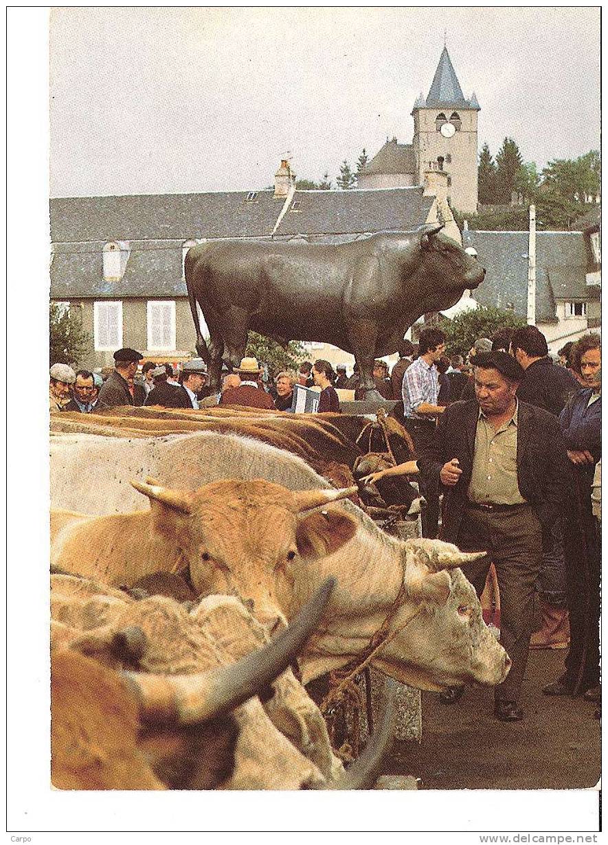 LAGUIOLE. - Marché Aux Bestiaux Sur Le Foirail. - Laguiole