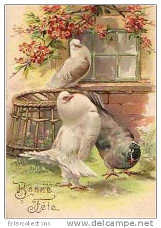 Bonne Fête  Carte Gaufrée... Pigeons - Sonstige & Ohne Zuordnung