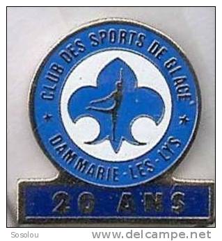 Club Des Sports De Glace Dammarie Les Lys 26 Ans , Le Logo - Skating (Figure)