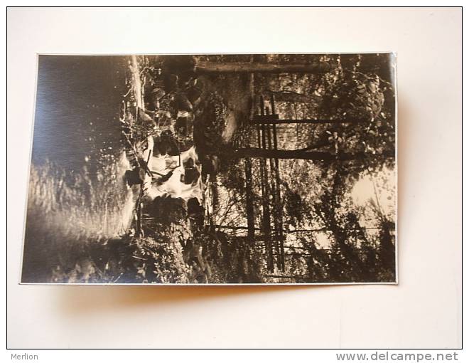 Ratzeburg I.Lbg. Wasserfall Im Kupfermühlental   FOTO-AK Ca 1930´s -  VF D64282 - Ratzeburg