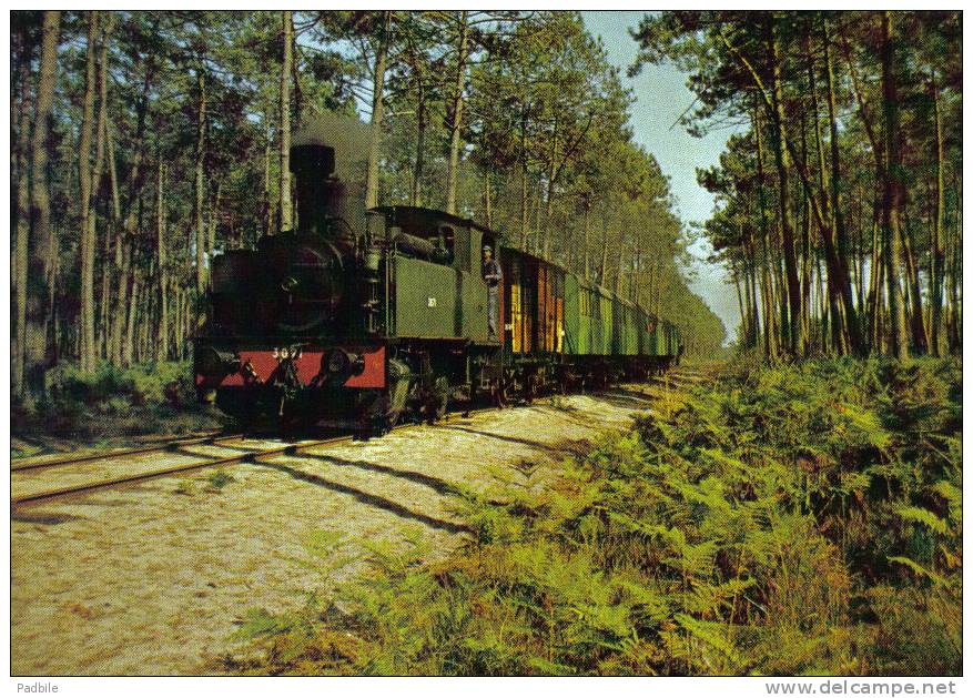 Carte Postale 40. Train Entre Sabres Et Maruèze  Locomotive 3071 Corpet-Louvet Trés Beau Plan - Sabres