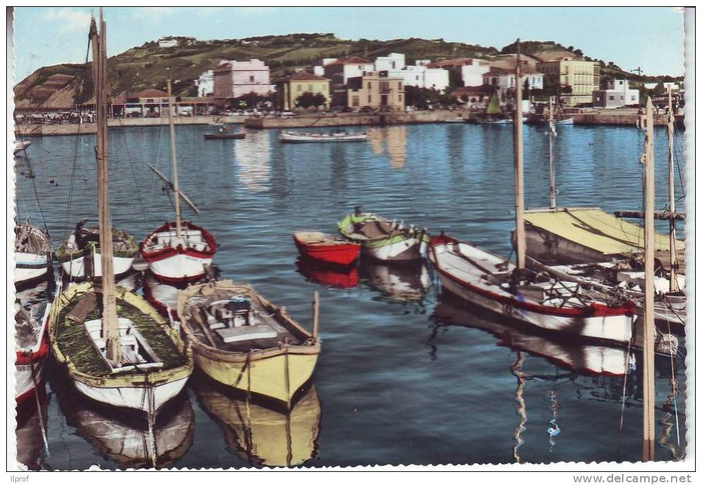 Barche Da Pesca Nella Darsena Di Cattolica Anni 50 - Visvangst