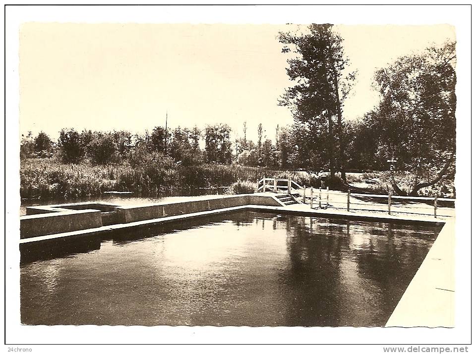 Beaumont La Ronce: Chateau De La Haute Barde, Centre D´ Education Physique Et Sportive, La Piscine (09-2254) - Beaumont-la-Ronce