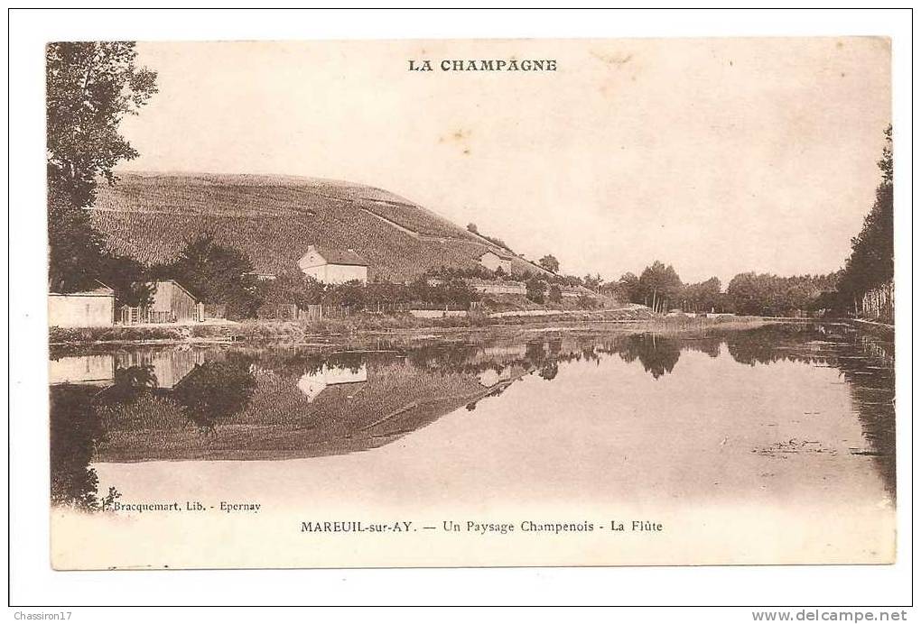 51 - MAREUIL-sur-AY  -  Un Paysage Champenois - La Flûte - Mareuil-sur-Ay