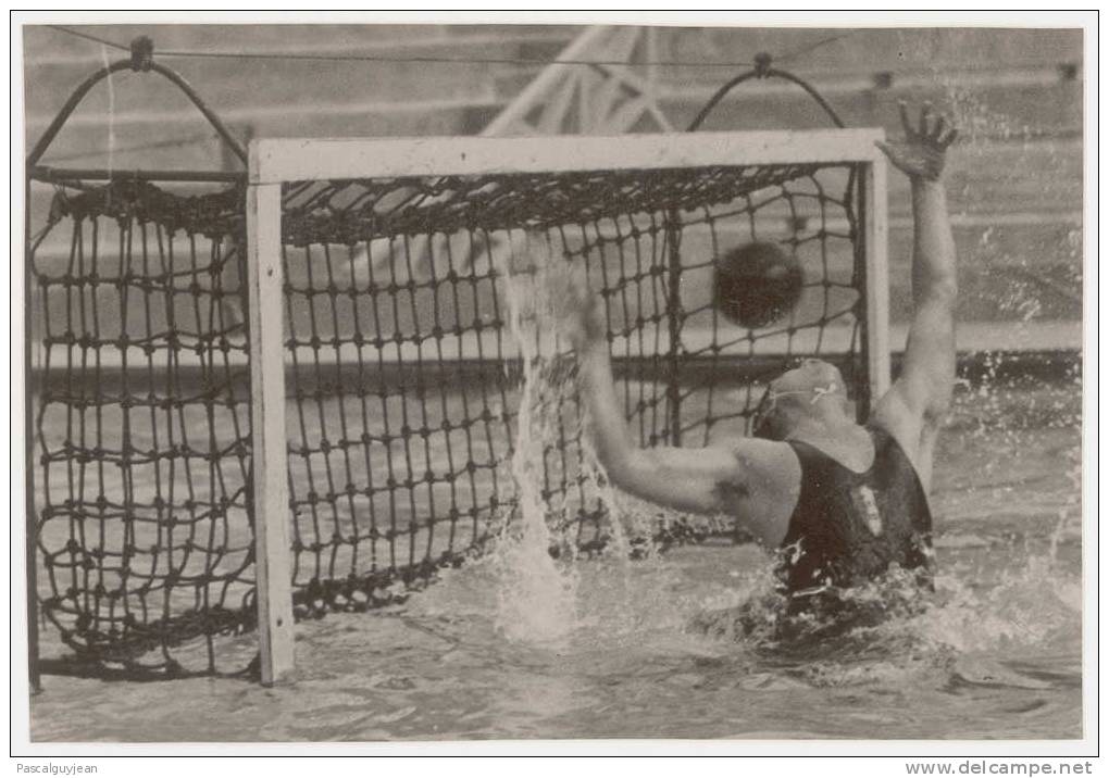 PHOTO PRESSE NATATION - JO UNIVERSITAIRES 1937 - Natation