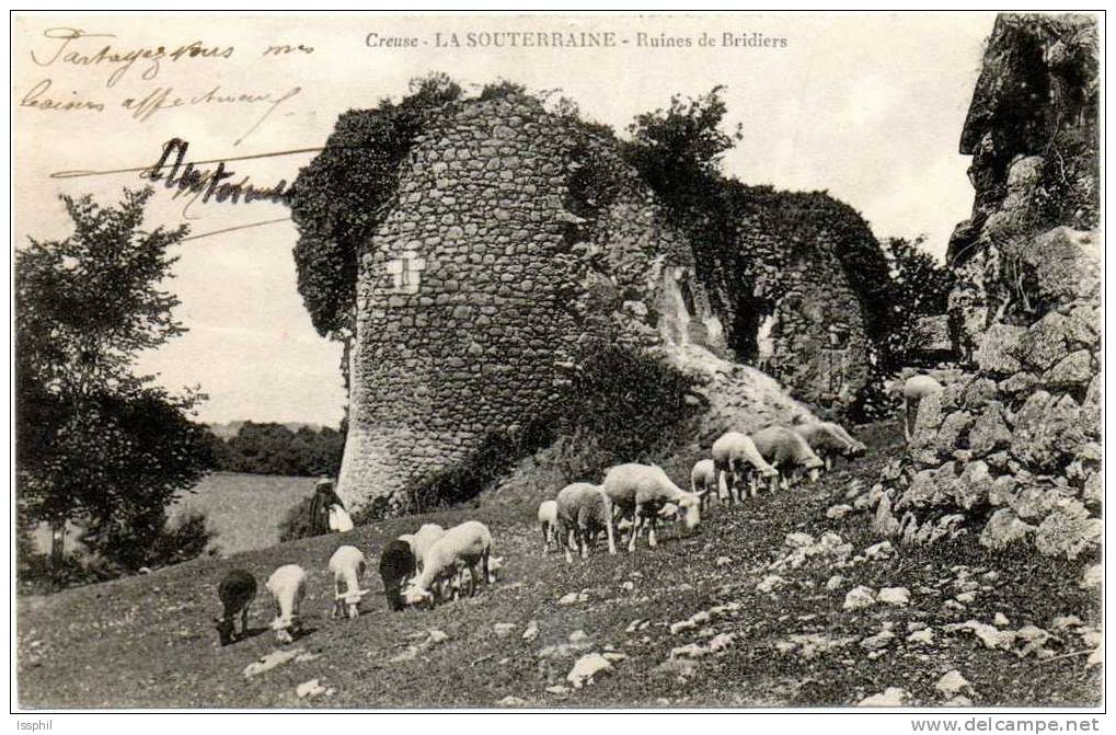 Creuse - La Souterraine - Ruines De Bridiers "moutons" - La Souterraine