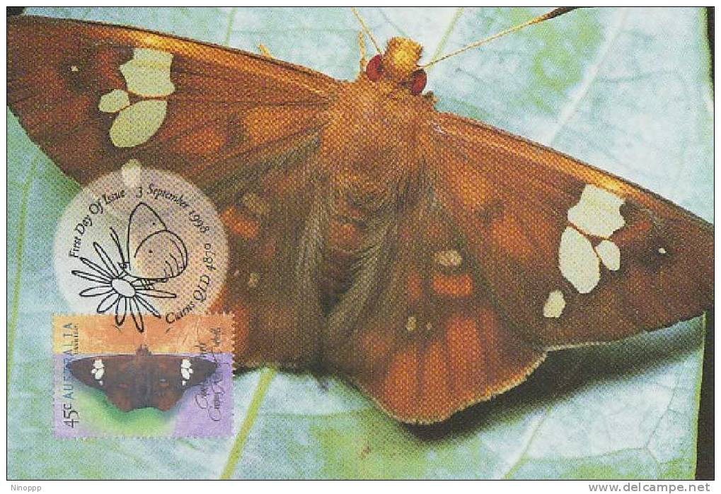 Australia-1998 Common Red-eye Butterfly   Maximum Card - Butterflies