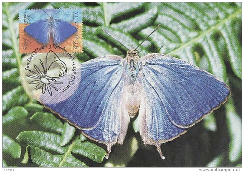 Australia-1998 Dull Oakblue Butterfly    Maximum Card - Butterflies