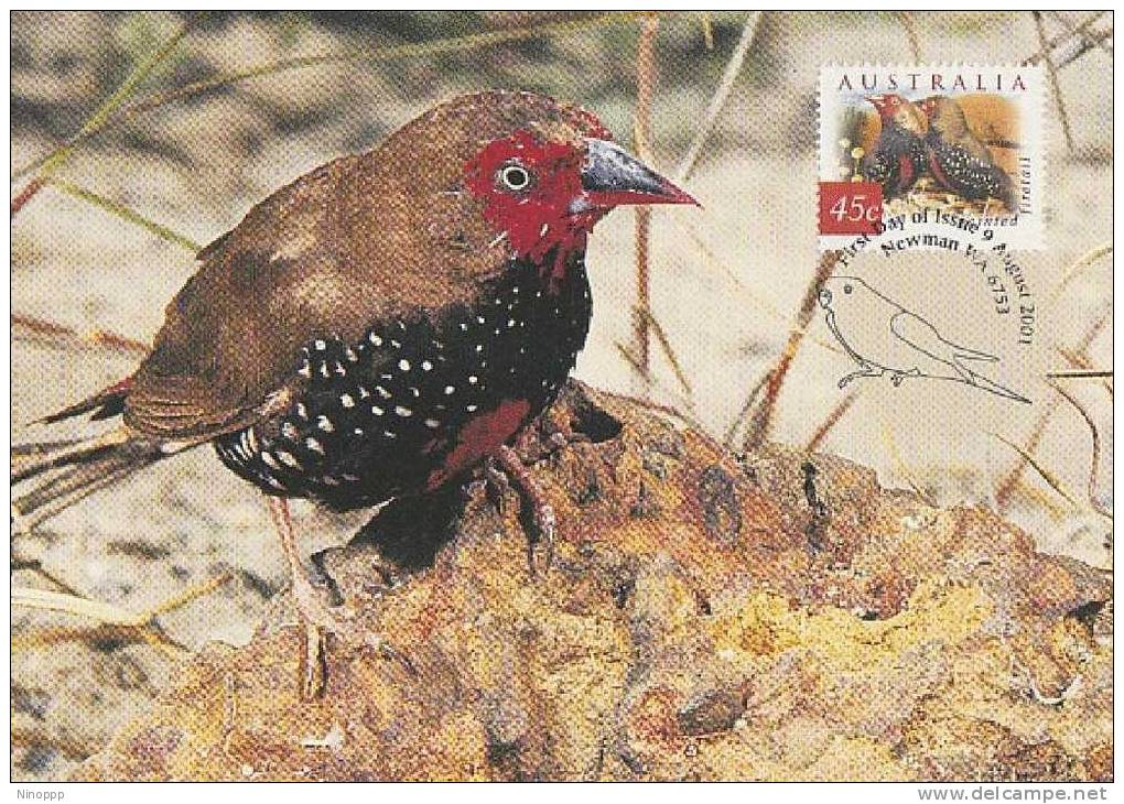 Australia-2001 Painted Riretail Bird   Maximum Card - Perroquets & Tropicaux