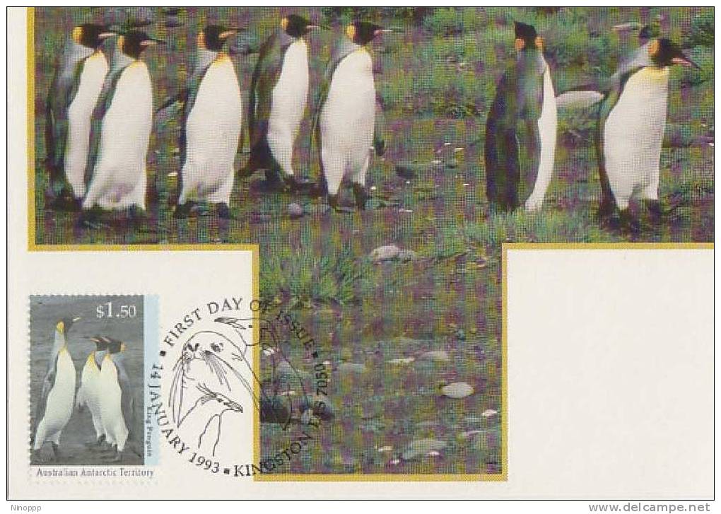 Australia-AAT-1993 Wildlife  King Penguins Maximum Card - Penguins