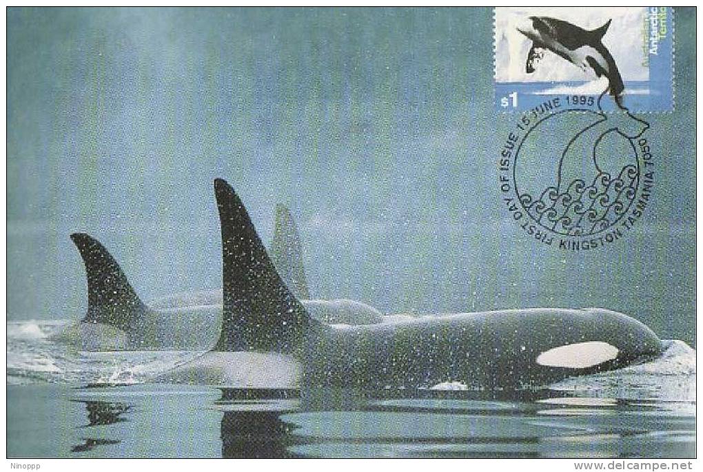 Australia-AAT-1995 Whales And Dolphins Killer Whales  Maximum Card - Dolphins