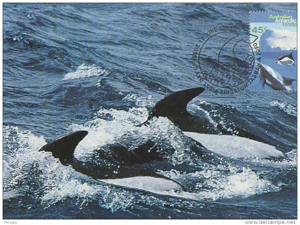 Australia-AAT-1995 Whales And Dolphins-Hourglass Dolphins Maximum Card - Dolphins