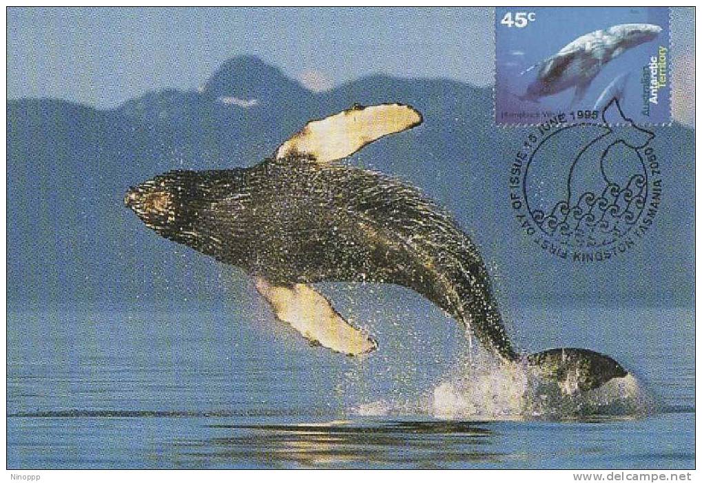 Australia-AAT-1995 Whales And Dolphins-Humpback Whale Maximum Card - Dolphins