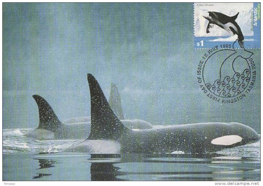 Australia-AAT-1995 Whales And Dolphins-Killer Whales Maximum Card - Dolphins