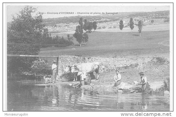 01 )) OYONNAX - CHARMINE ET PLAINE DE SAMOGNAT , ANIMEE - Oyonnax