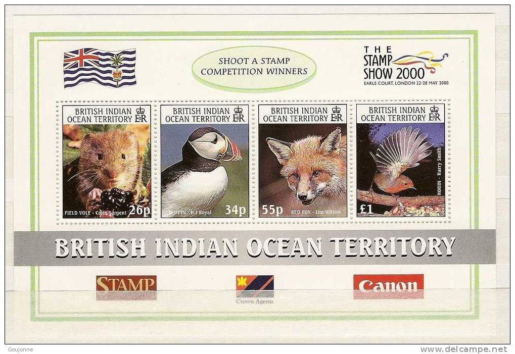 OCEAN INDIEN Stamps Show 2000 Exposition à Londres BF13** - Segler & Kolibris