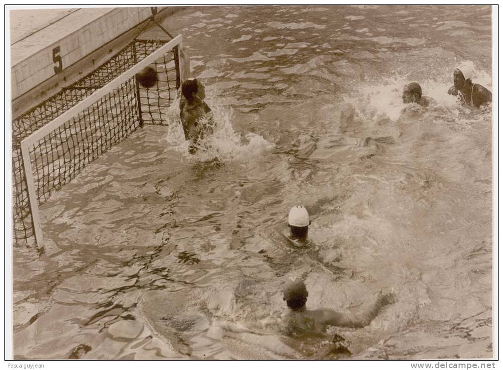 PHOTO PRESSE NATATION WATER POLO - TOURELLES - Natation