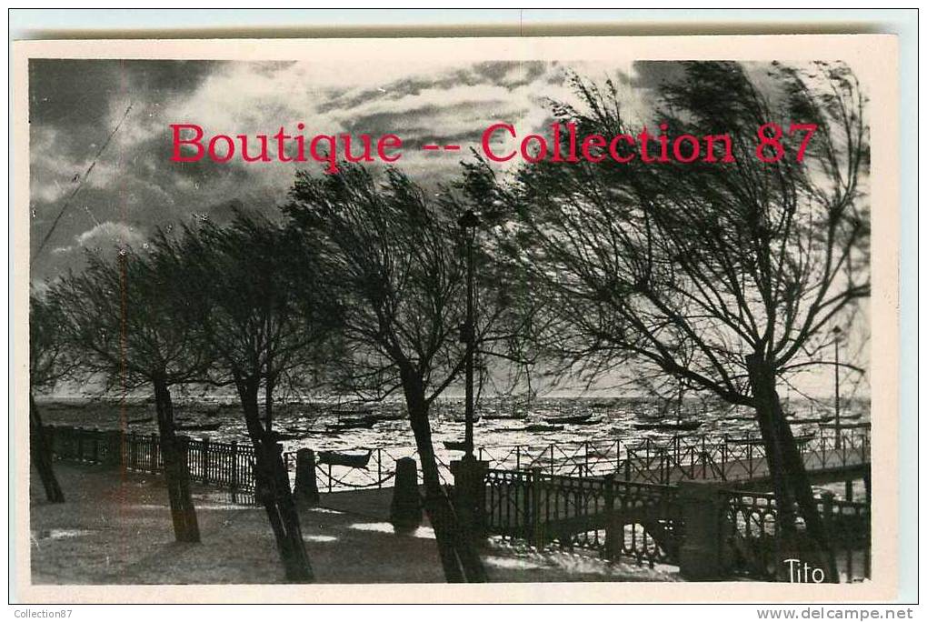 33 - ARCACHON - ANDERNOS - GROS TEMPS - DOS VISIBLE - Andernos-les-Bains