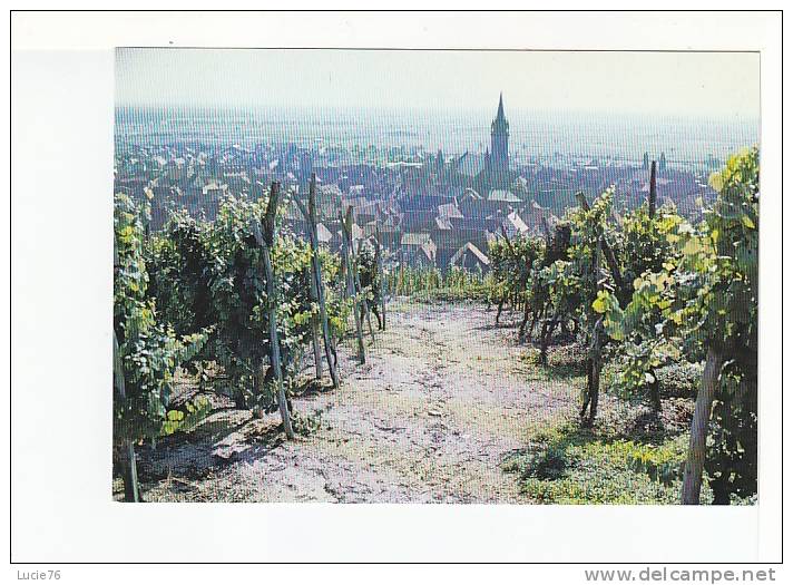 DAMBACH LA VILLE - Eglise Saint Etienne  -  Coquette Cité Nichée Dans Le Vignoble  - N°  447 / 67 - Dambach-la-ville