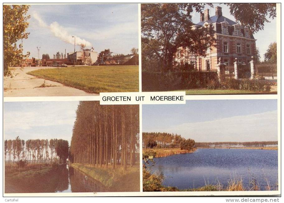 MOERBEKE- GROETEN UIT MOERBEKE- MEERZICHT - Moerbeke-Waas