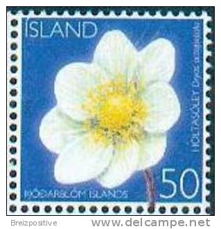 Islande Iceland 2006 - Dryade à Huit Pétales (thé Suisse) / White Dryas - MNH - Other & Unclassified