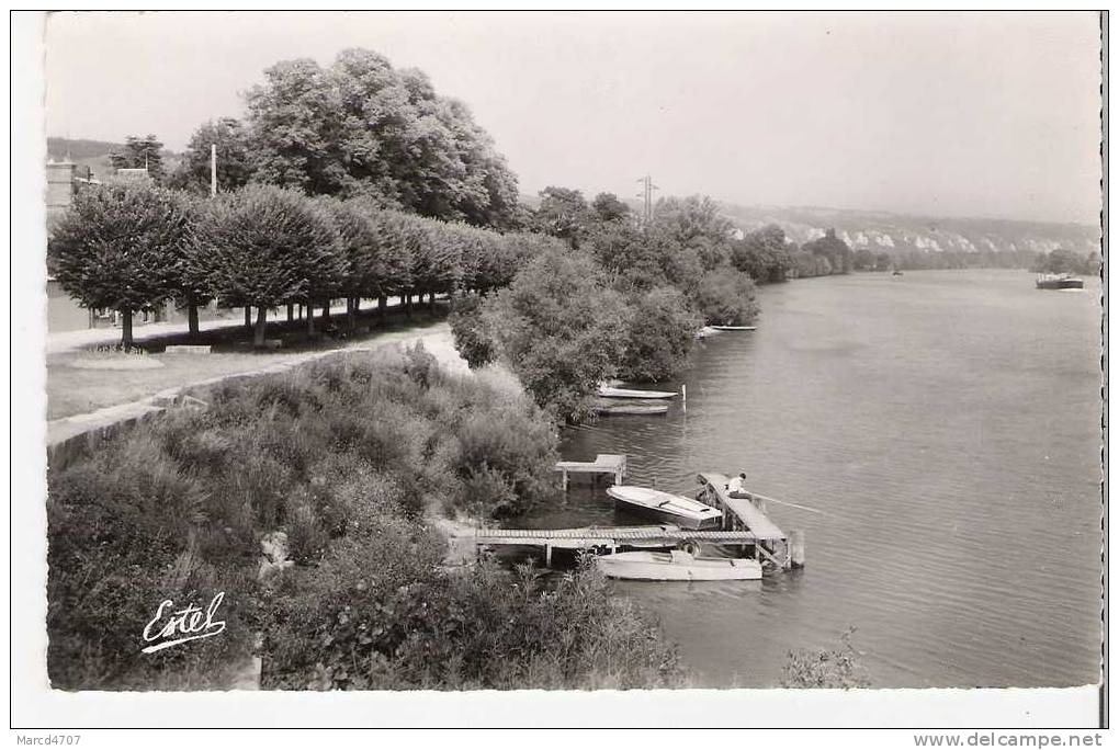 La ROCHE GUYON 95 Promenade Des Tilleuls Et La Seine Editions De Luxe Estel Carte Dentelée Véritable Photo - La Roche Guyon