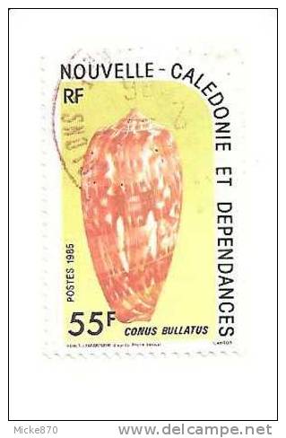 Nouvelles Calédonies N°498 Oblitéré Coquillage Conus Bullatus - Conchas