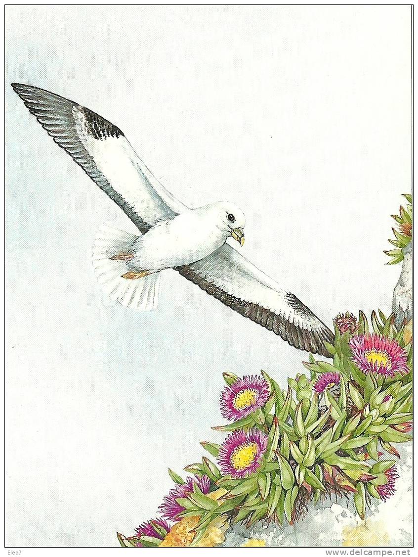 GUERNSEY Post Office Stamp-Card - Oiseau. - Meeuwen