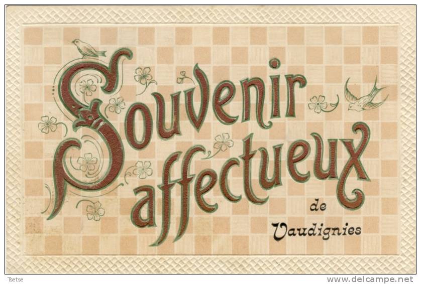 Vaudignies - Souvenir Affectueux De ... - Superbe Fantaisie, Carte Gauffrée En Relief- 1908 - Chievres