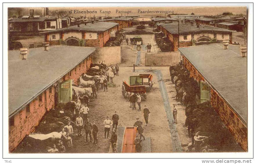 12759 - Camp D' Elsenborn - Pansage - Elsenborn (camp)