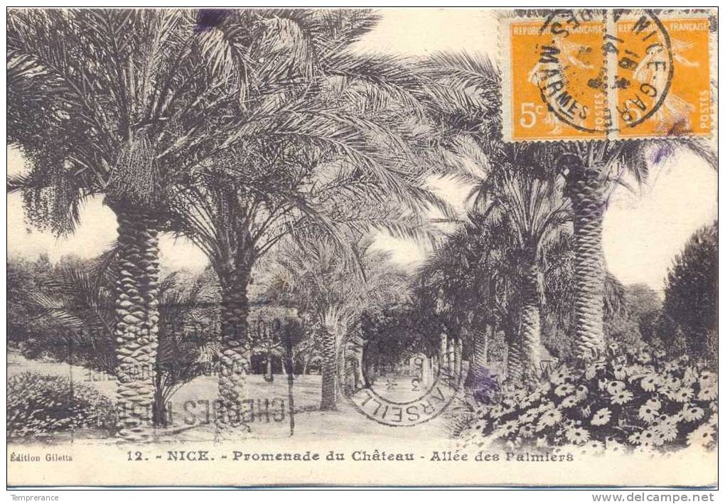 06 NICE Promenade Du Château, Allée Des Palmiers  1923 - Parcs Et Jardins