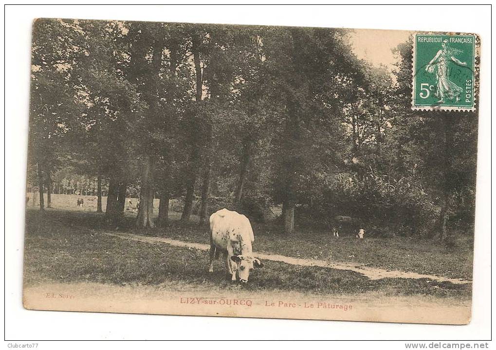 Lizy-sur-Ourcq (77) : Les Vaches Au Pâturage Dans Le Parc  En 1910 (animée). - Lizy Sur Ourcq