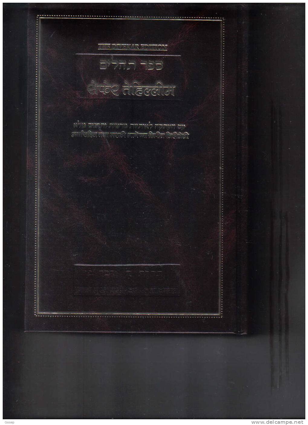 Sefar Tehillim-translated And Transliterated Into Marathi - Boeken & Software