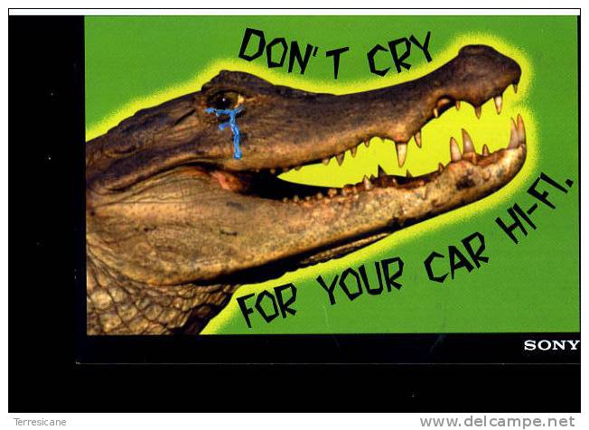 SONY DON'T CRY FOR YOUR CAR HI FI - Pubblicitari