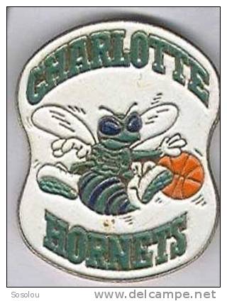 Charlotte Hornets, Basket - Pallacanestro